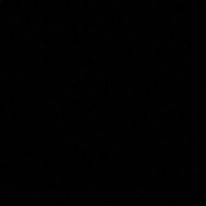 Meet your Posher, Teri